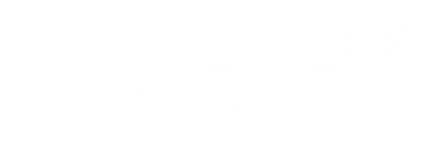 unreallandscapes.co.uk