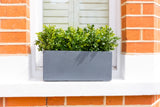 Beautiful Buxus - Window Box