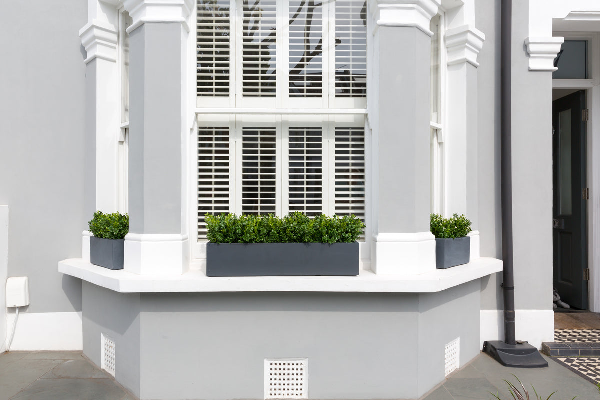 Beautiful Buxus Window Box unreallandscapes.co.uk