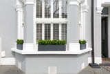 Beautiful Buxus - Window Box
