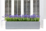 Luscious Lavender - Window Box