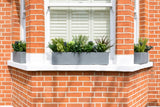 Glorious Greens - Window Box