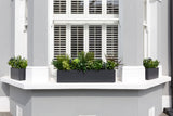 Glorious Greens - Window Box