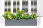 Glorious Greens - Window Box