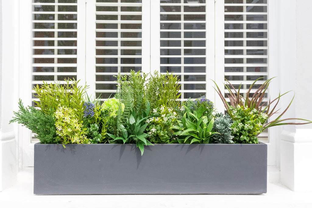 Gorgeous Grasses - Window Box – unreallandscapes.co.uk