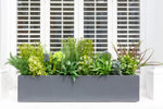 Gorgeous Grasses - Window Box