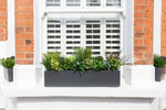 Glorious Greens - Window Box