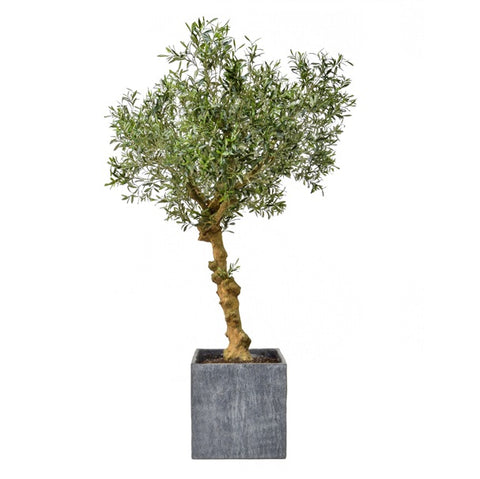 Artificial olive trees