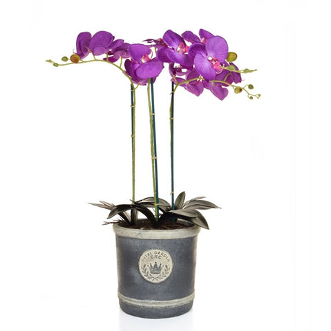 Artificial Orchid plant